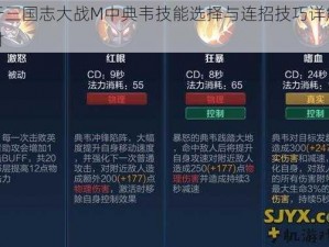 关于三国志大战M中典韦技能选择与连招技巧详解的探讨