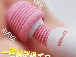 女孩子奖励自己的资料：高品质按摩器，让你享受极致舒适体验