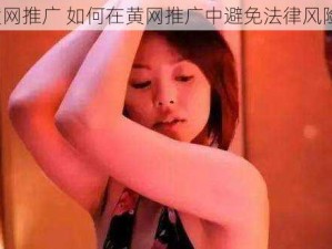 黄网推广 如何在黄网推广中避免法律风险？