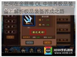 如何在金箍棒 OL 中培养极品装备？解析极品装备养成之路