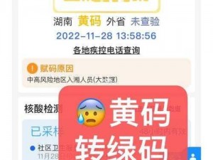 为什么你的无区码一码二码三码总是出现问题？该如何解决？