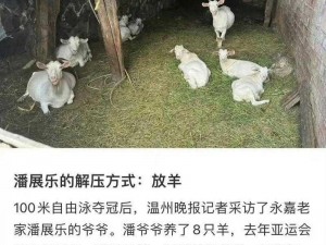 我是放羊的经常日羊，为什么羊还会生病呢？