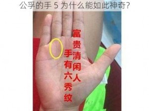 公孚的手 5 为什么能如此神奇？