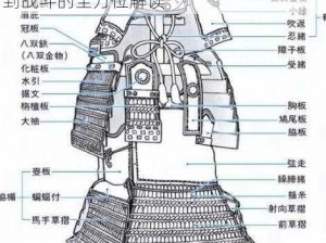 《帝国时代 2》甲胄用途大揭秘：从防御到战斗的全方位解读