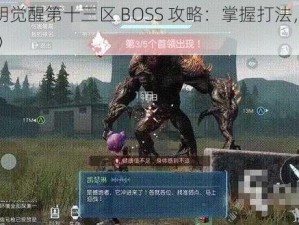 《黎明觉醒第十三区 BOSS 攻略：掌握打法，轻松制胜》