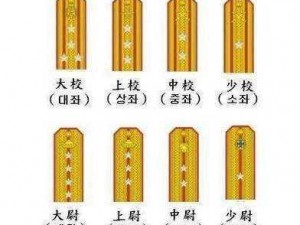 《乐斗模式军衔揭秘：最高级别究竟为何？》