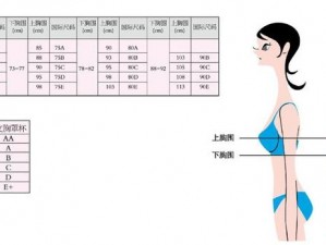 丫头，这款内衣的尺寸很合适，你穿上肯定好看