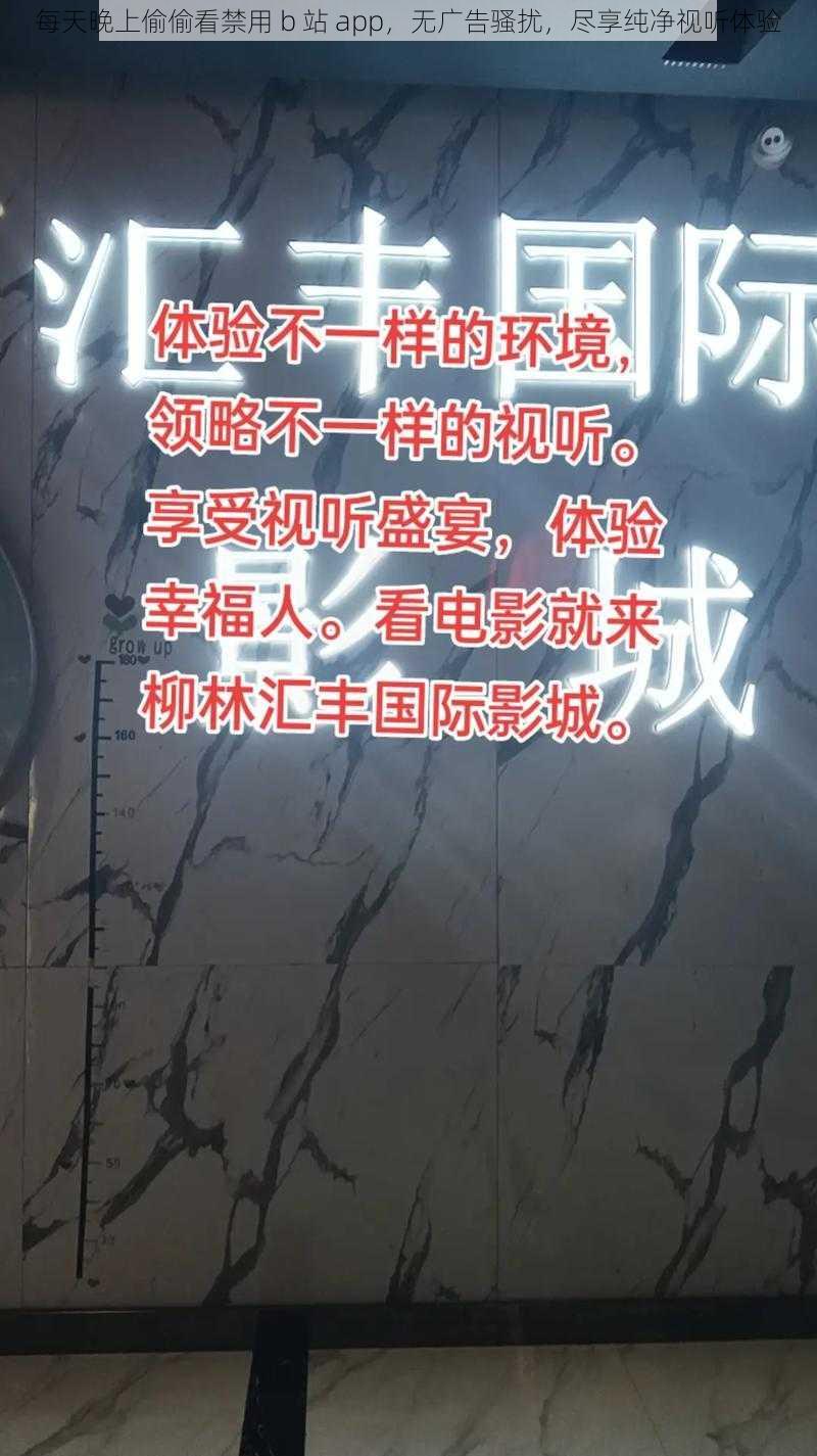 每天晚上偷偷看禁用 b 站 app，无广告骚扰，尽享纯净视听体验