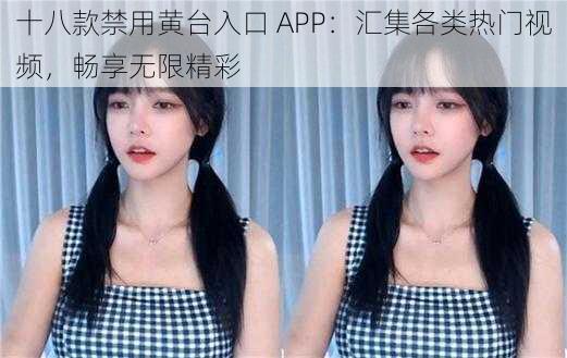 十八款禁用黄台入口 APP:汇集各类热门视频,畅享无限精彩