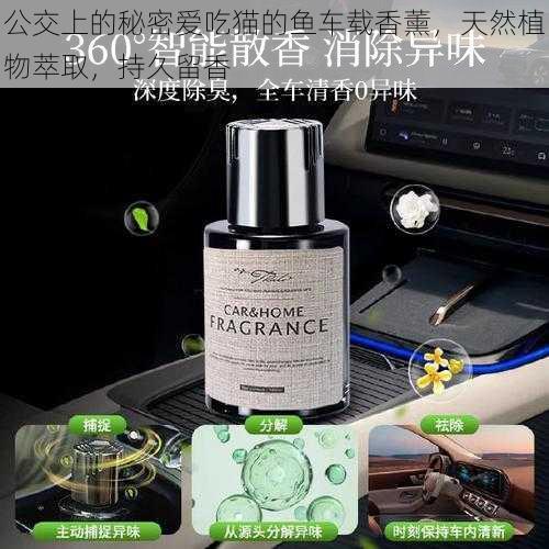 公交上的秘密爱吃猫的鱼车载香薰,天然植物萃取,持久留香