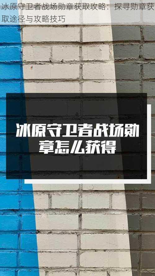 冰原守卫者战场勋章获取攻略：探寻勋章获取途径与攻略技巧