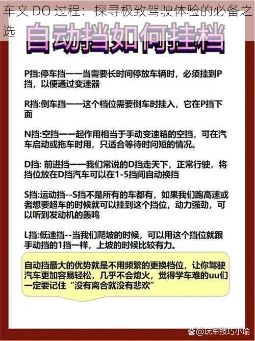 车文 DO 过程：探寻极致驾驶体验的必备之选