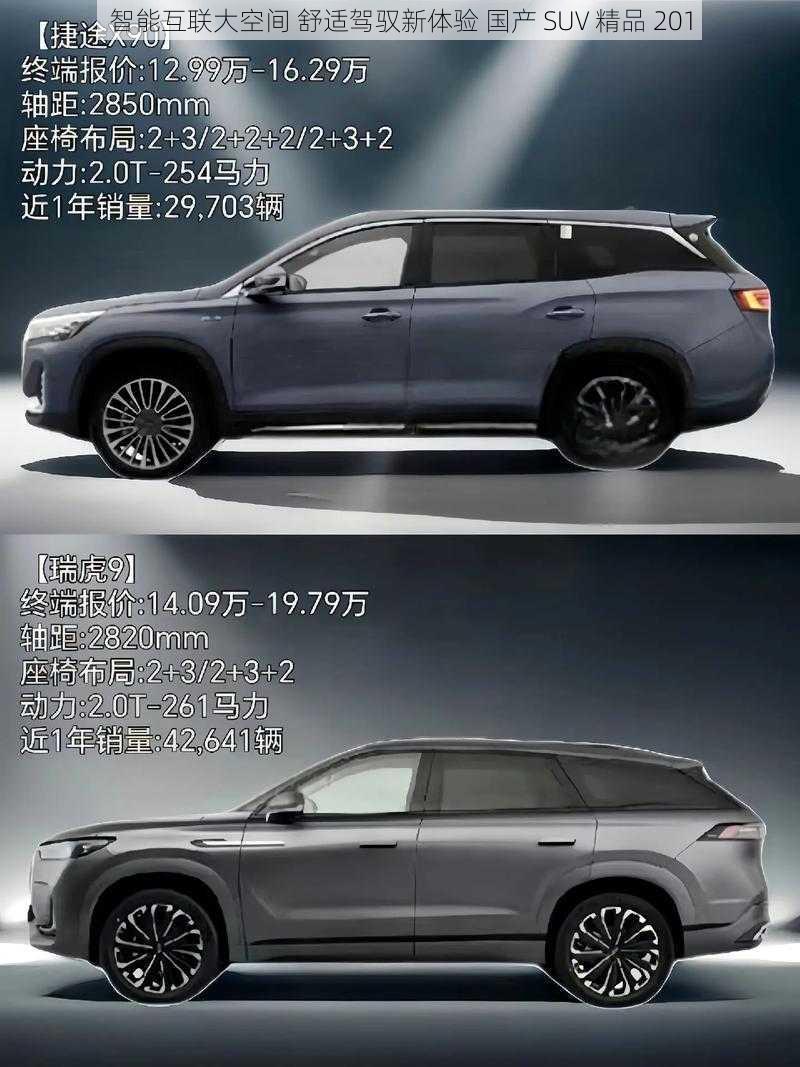 智能互联大空间 舒适驾驭新体验 国产 SUV 精品 201