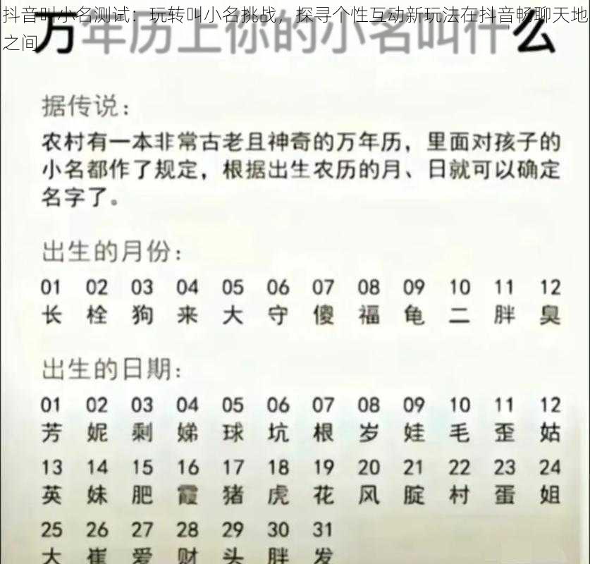 抖音叫小名测试:玩转叫小名挑战,探寻个性互动新玩法在抖音畅聊天地之间
