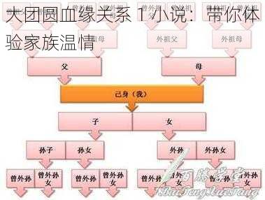 大团圆血缘关系 1 小说：带你体验家族温情