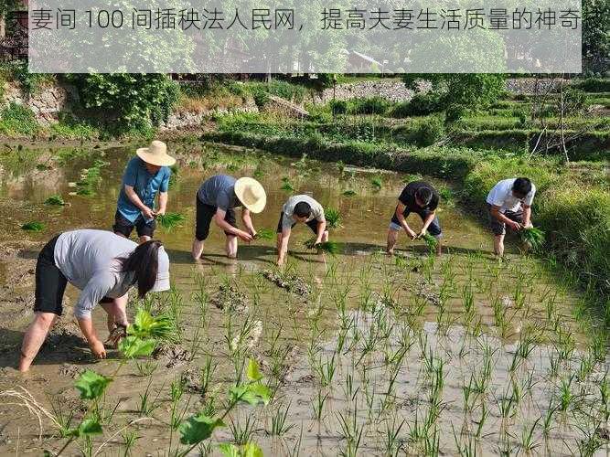 夫妻间 100 间插秧法人民网，提高夫妻生活质量的神奇技巧