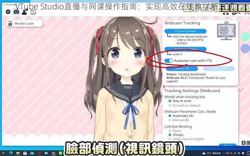 VTube Studio直播与网课操作指南：实现高效在线教学新方式