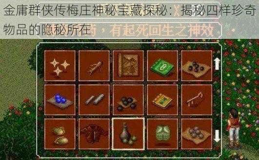 金庸群侠传梅庄神秘宝藏探秘：揭秘四样珍奇物品的隐秘所在