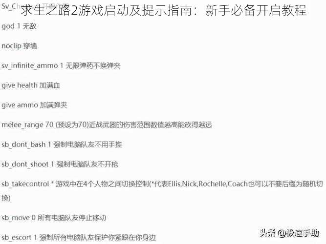 求生之路2游戏启动及提示指南：新手必备开启教程