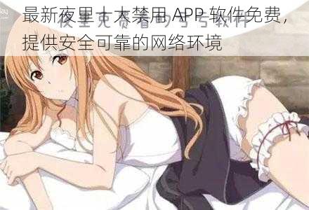 最新夜里十大禁用 APP 软件免费，提供安全可靠的网络环境