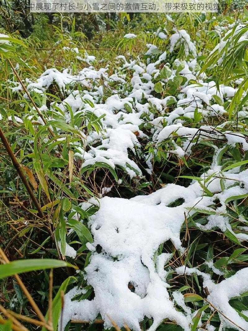 视频中展现了村长与小雪之间的激情互动，带来极致的视觉体验