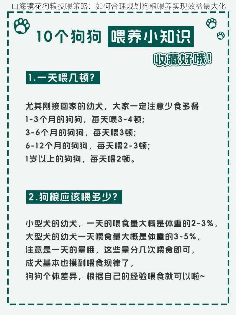 山海镜花狗粮投喂策略：如何合理规划狗粮喂养实现效益最大化