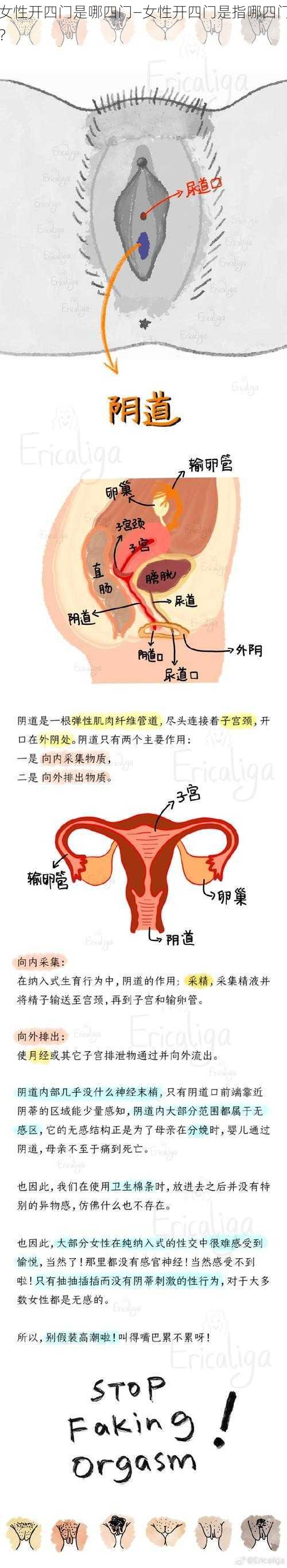 女性开四门是哪四门—女性开四门是指哪四门？