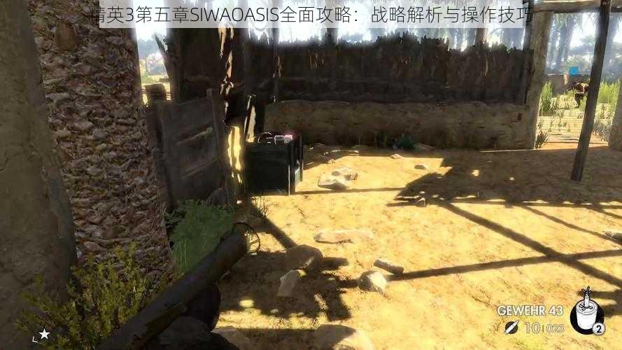 精英3第五章SIWAOASIS全面攻略：战略解析与操作技巧