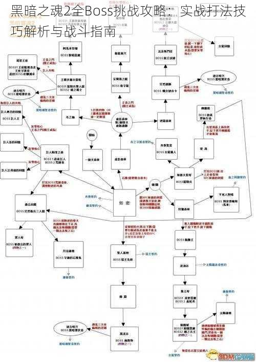 黑暗之魂2全Boss挑战攻略：实战打法技巧解析与战斗指南