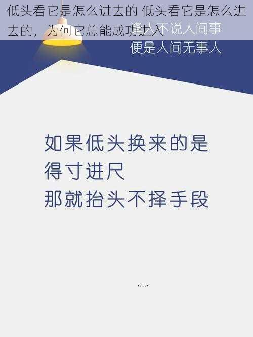 低头看它是怎么进去的 低头看它是怎么进去的，为何它总能成功进入