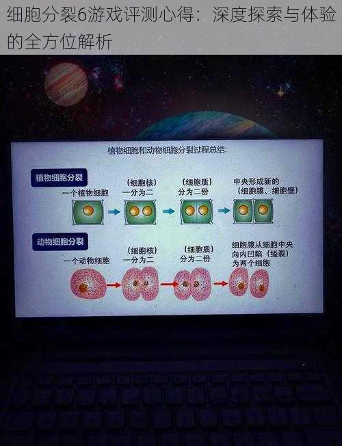 细胞分裂6游戏评测心得：深度探索与体验的全方位解析