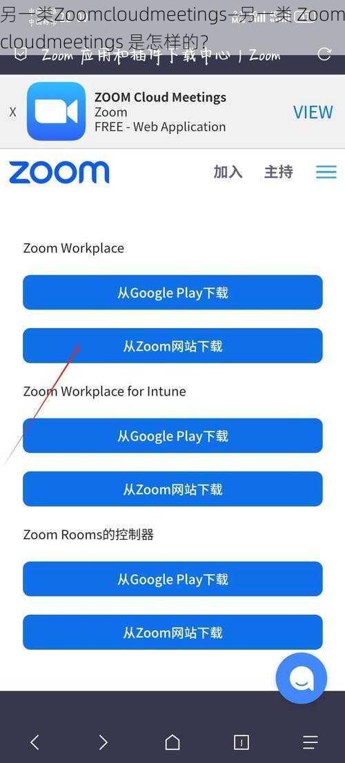 另一类Zoomcloudmeetings—另一类 Zoomcloudmeetings 是怎样的？