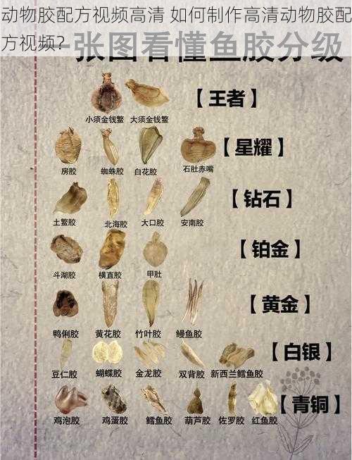 动物胶配方视频高清 如何制作高清动物胶配方视频？