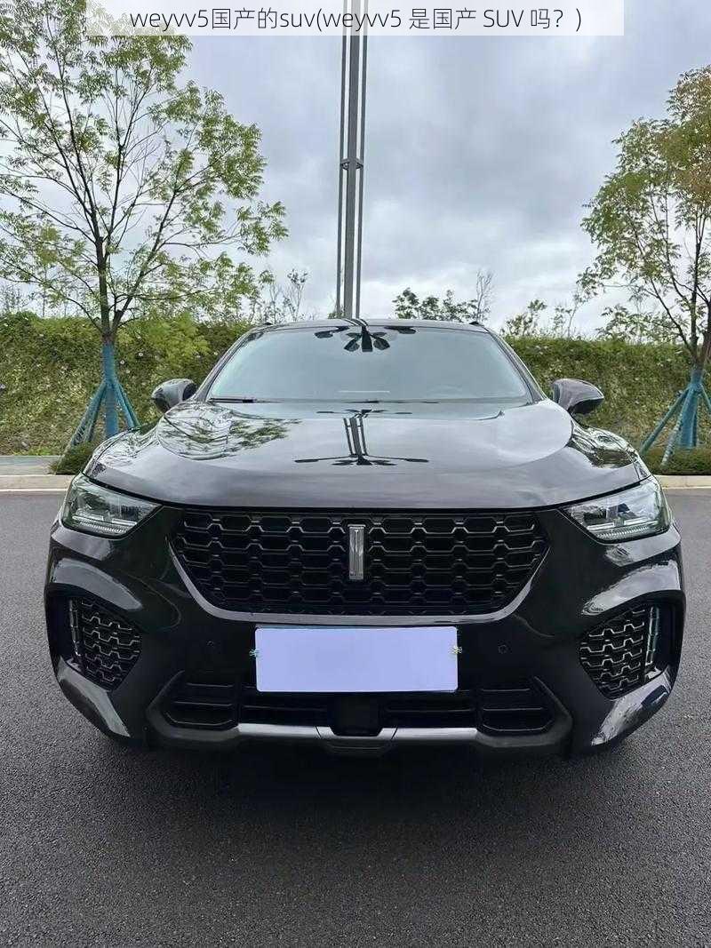 weyvv5国产的suv(weyvv5 是国产 SUV 吗？)