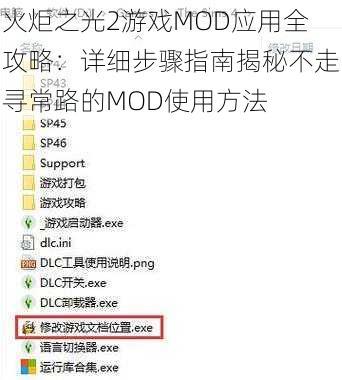 火炬之光2游戏MOD应用全攻略：详细步骤指南揭秘不走寻常路的MOD使用方法