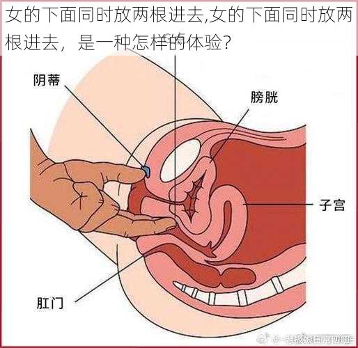 女的下面同时放两根进去,女的下面同时放两根进去，是一种怎样的体验？