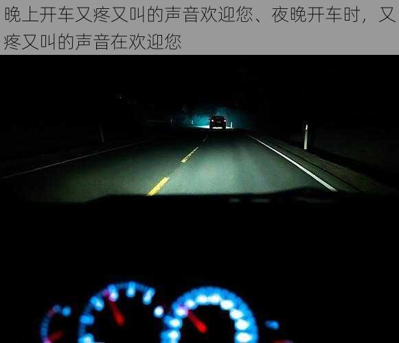 晚上开车又疼又叫的声音欢迎您、夜晚开车时，又疼又叫的声音在欢迎您