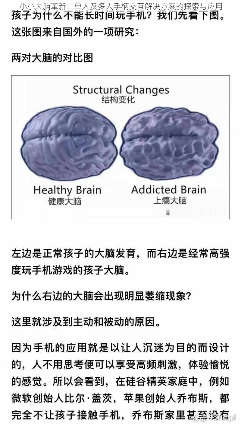 小小大脑革新：单人及多人手柄交互解决方案的探索与应用