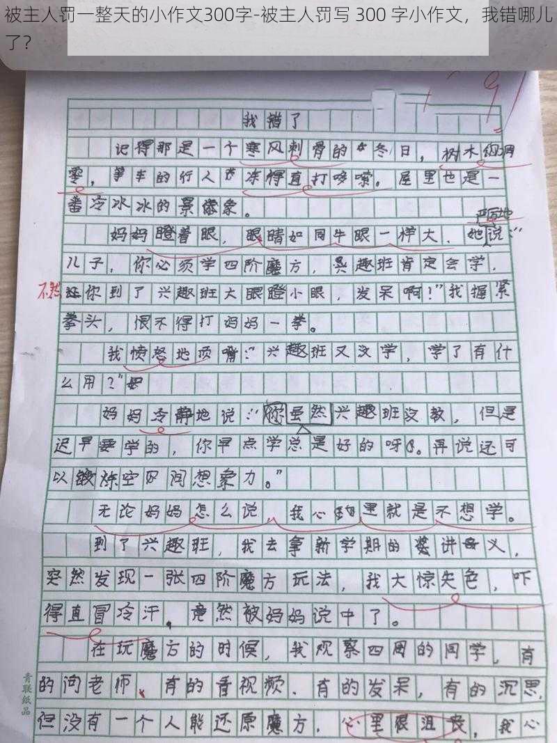 被主人罚一整天的小作文300字-被主人罚写 300 字小作文，我错哪儿了？