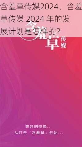 含羞草传媒2024、含羞草传媒 2024 年的发展计划是怎样的？