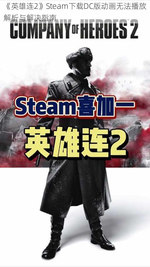 《英雄连2》Steam下载DC版动画无法播放解析与解决指南