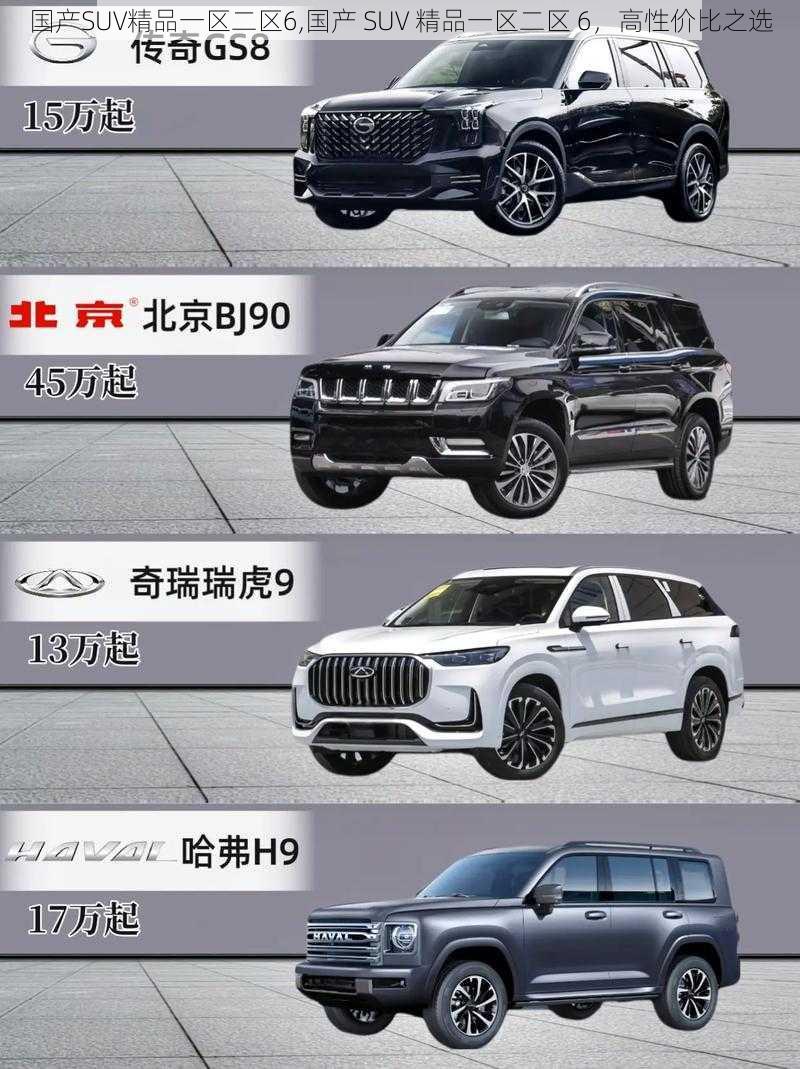 国产SUV精品一区二区6,国产 SUV 精品一区二区 6，高性价比之选