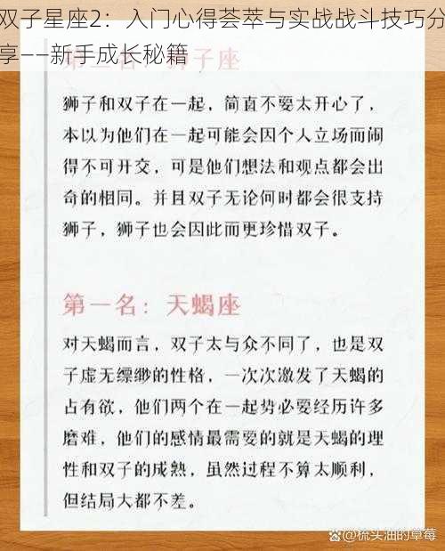 双子星座2：入门心得荟萃与实战战斗技巧分享——新手成长秘籍