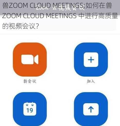 兽ZOOM CLOUD MEETINGS;如何在兽 ZOOM CLOUD MEETINGS 中进行高质量的视频会议？