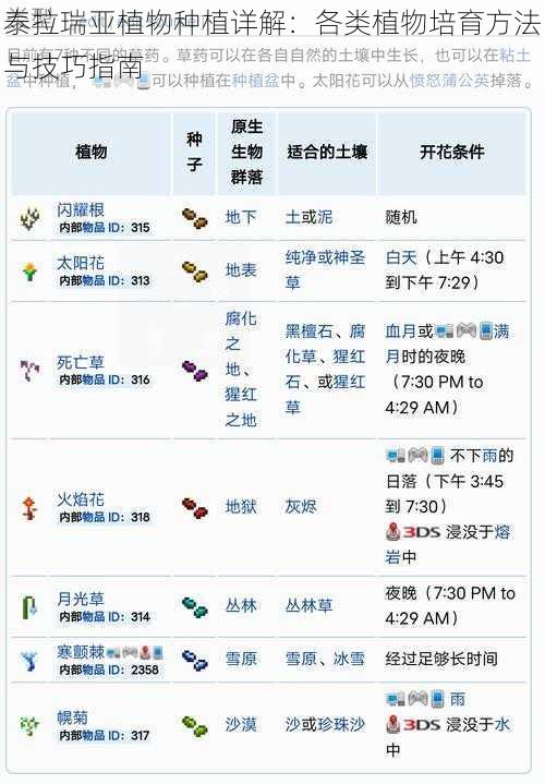 泰拉瑞亚植物种植详解：各类植物培育方法与技巧指南