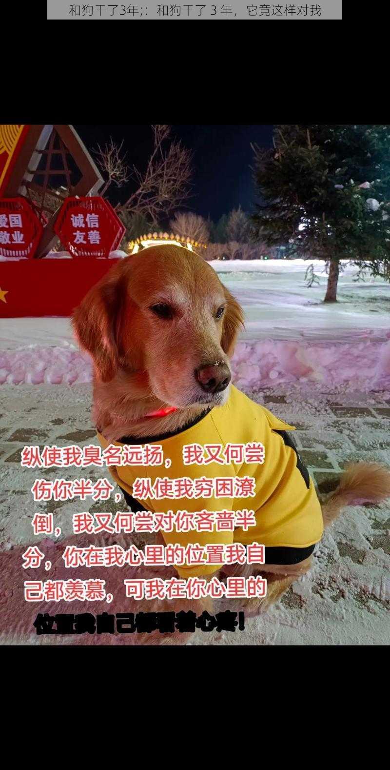 和狗干了3年;：和狗干了 3 年，它竟这样对我