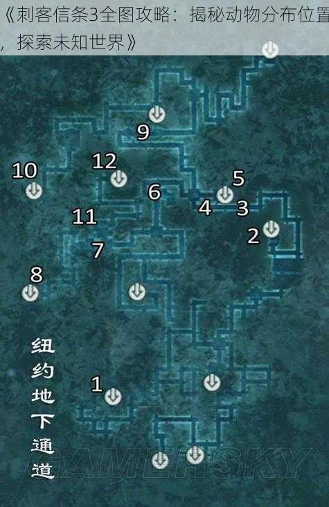 《刺客信条3全图攻略：揭秘动物分布位置，探索未知世界》