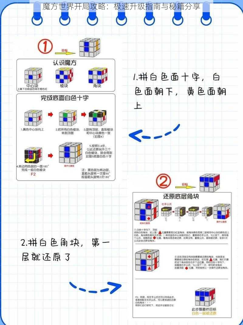 魔方世界开局攻略：极速升级指南与秘籍分享