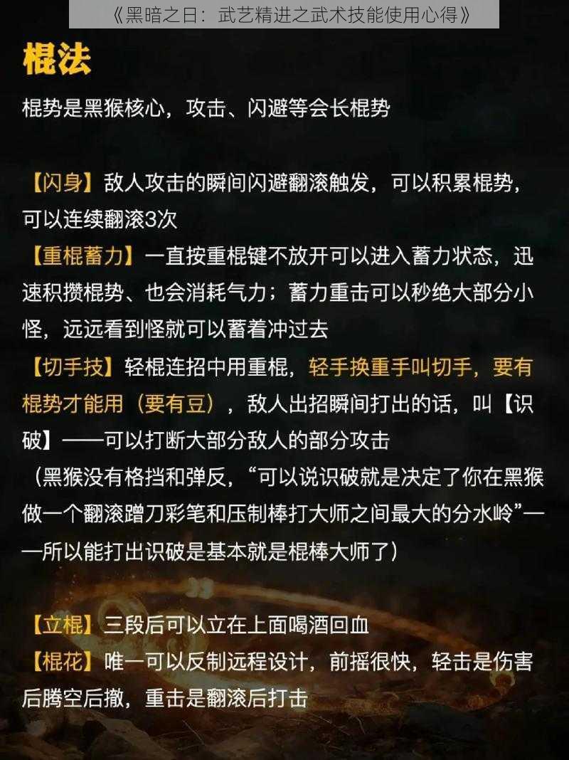 《黑暗之日：武艺精进之武术技能使用心得》