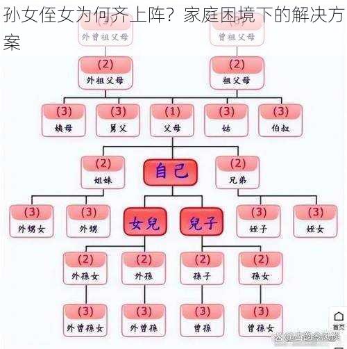 孙女侄女为何齐上阵？家庭困境下的解决方案